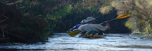 kayaking the wild Okavango